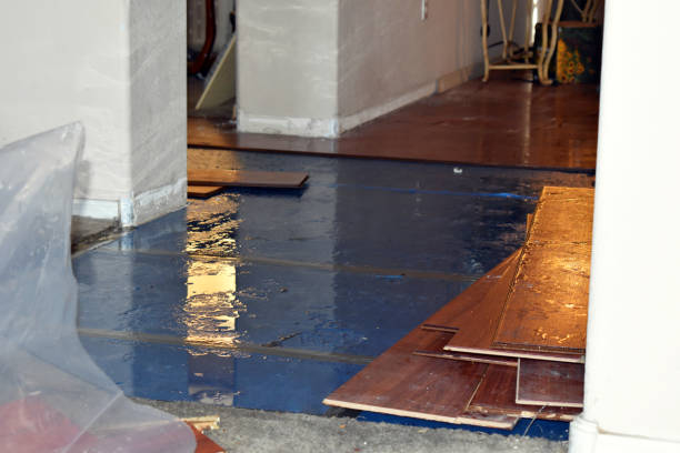 Professional Basement Flood Cleanup technician working in Califon, NJ